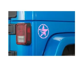 Quadratec Premium Small Distressed Star Decal Pink